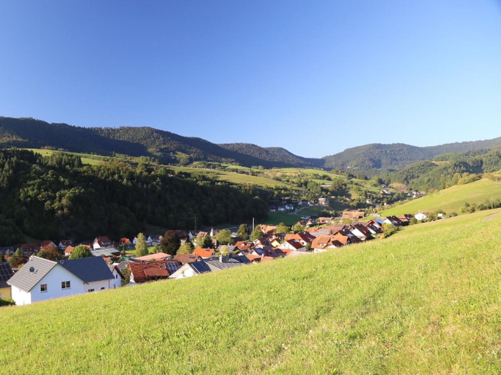 Appartement Schwarzwaldstuble Oberharmersbach Exterior foto